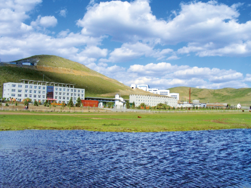 1729147995802095831.png auto